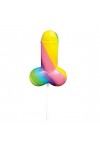 SUCETTE PENIS ARC EN CIEL RAINBOW
