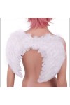 AILES D'ANGE - BLANC