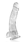 GODE TRANSLUCIDE EN JELLY 22CM