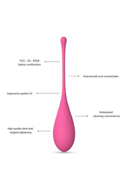 ENSEMBLE D'ENTRAÎNEMENT POUR LE MUSCLE PELVIEN FEMMEFIT, 6 PIECES