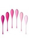 ENSEMBLE D'ENTRAÎNEMENT POUR LE MUSCLE PELVIEN FEMMEFIT, 6 PIECES