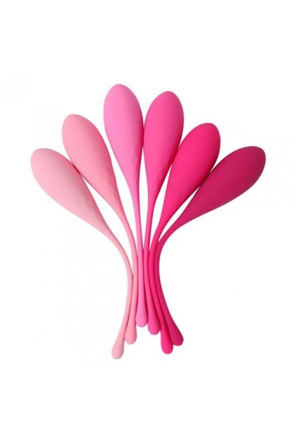 ENSEMBLE D'ENTRAÎNEMENT POUR LE MUSCLE PELVIEN FEMMEFIT, 6 PIECES