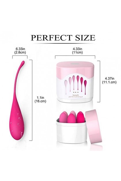 ENSEMBLE D'ENTRAÎNEMENT POUR LE MUSCLE PELVIEN FEMMEFIT, 6 PIECES