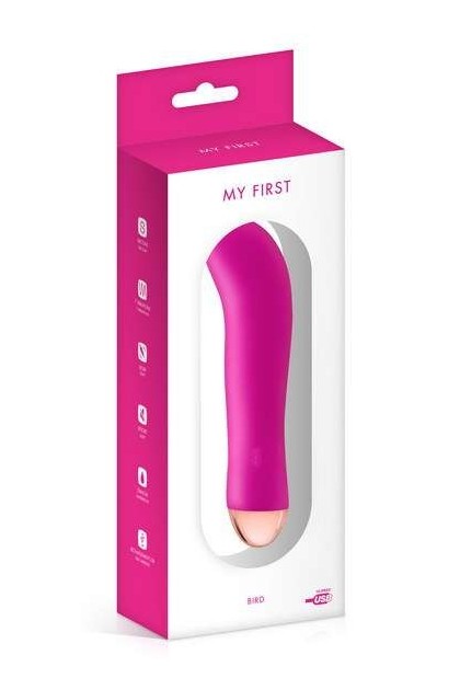 VIBROMASSEUR POINT G ROSE USB WATERPROOF