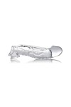 ETUI PÉNIEN EXTENDER UP 21 X 5CM TRANSPARENT