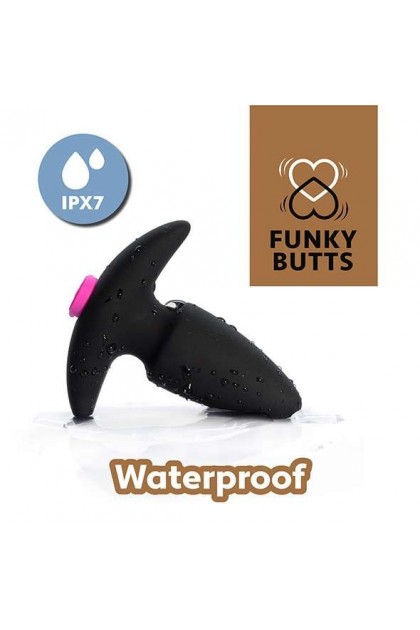ENSEMBLE DE PLUG ANAL TÉLÉCOMMANDÉ FUNKYBUTTS POUR COUPLES