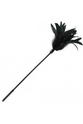 PLUME DOUCE ET MOELLEUSE COULEUR NOIRE