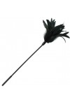 PLUME DOUCE ET MOELLEUSE COULEUR NOIRE