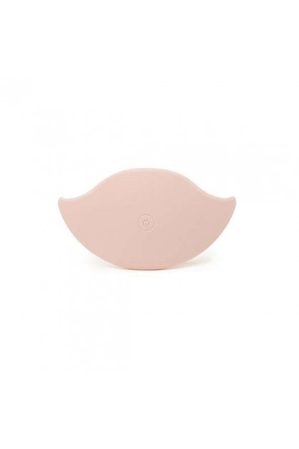 VIBROMASSEURS SEINS TÉLÉCOMMANDÉS BOOBIE WOOGIE (2 PCS) - FEELZTOYS