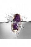 STIMULATEUR ANAL VIBRANT VIOLET DISCOVER PETITE SENSATIONS