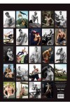 CALENDRIER MURAL HOMME SOLDAT DU FEU 2016