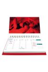 AGENDA CLARA MORGANE 2019 ILLUSTRÉ