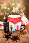 COFFRET DE NOËL COQUIN ET SEXY