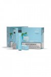 Cigarette électronique ogbarz 600 puffs - GOUT MIRTILLE GLACÉE