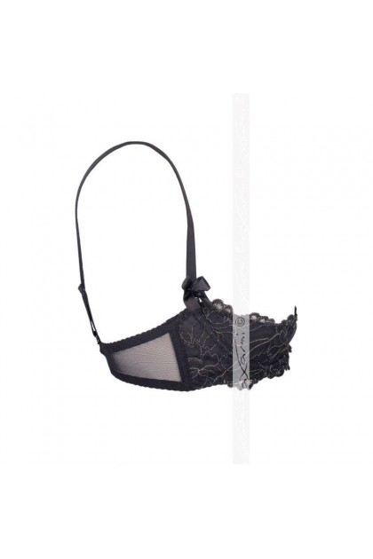 SOUTIEN-GORGE NOIR METEORITE V-5891 - 95D