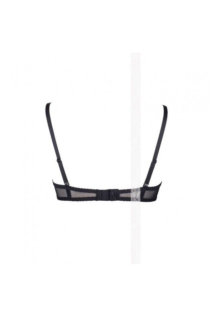 SOUTIEN-GORGE NOIR METEORITE V-5891 - 95D