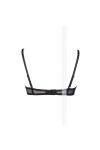 SOUTIEN-GORGE NOIR METEORITE V-5891 - 95D