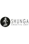 Bougie de massage shunga romance fraise & vin petillant