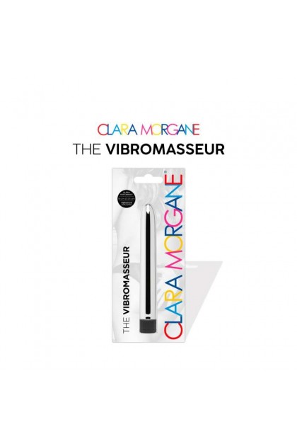 The vibromasseur - ARGENT - Love Shop Avenue
