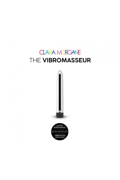 The vibromasseur - ARGENT - Love Shop Avenue