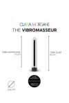 The vibromasseur - ARGENT - Love Shop Avenue