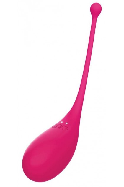 OEUF VIBRANT CONNECTÉ PALPITATION