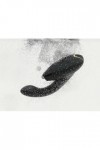 Stimulateur womanizer duo 2 - NOIR - Love Shop Avenue