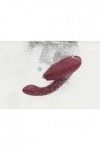 Stimulateur womanizer duo 2 - ROUGE - Love Shop Avenue