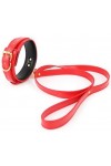 COLLIER ET LAISSE LIGHTY ROUGE
