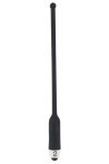 Sonde urétrale et prostatique noire vibrante 7 vitesses pour homme