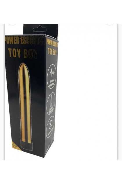 TOY BOY GOLD VIBRATOR 18CM - BR61