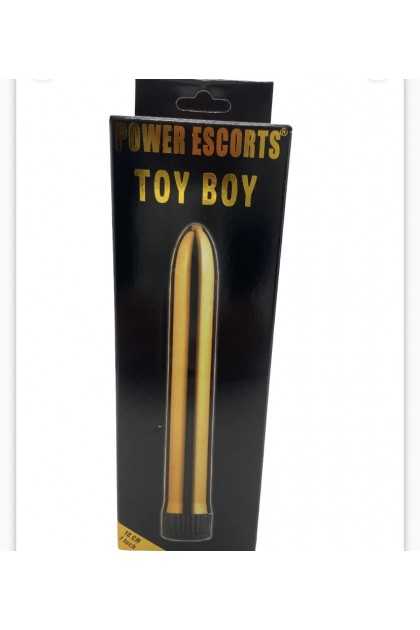 TOY BOY GOLD VIBRATOR 18CM - BR61