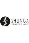 COFFRET SHUNGA MASSAGE SECRETS DE GEISHA - FRAISE