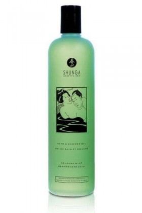 GEL BAIN DOUCHE MENTHE 500 ML