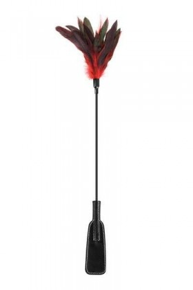 CRAVACHE TAPETTE AVEC PLUMES ROUGES ET NOIRES