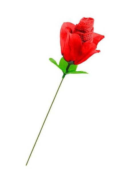 ROSE SLIP ROUGE