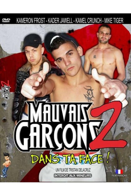 MAUVAIS GARÇONS 2 : DANS TA FACE ! - DVD X